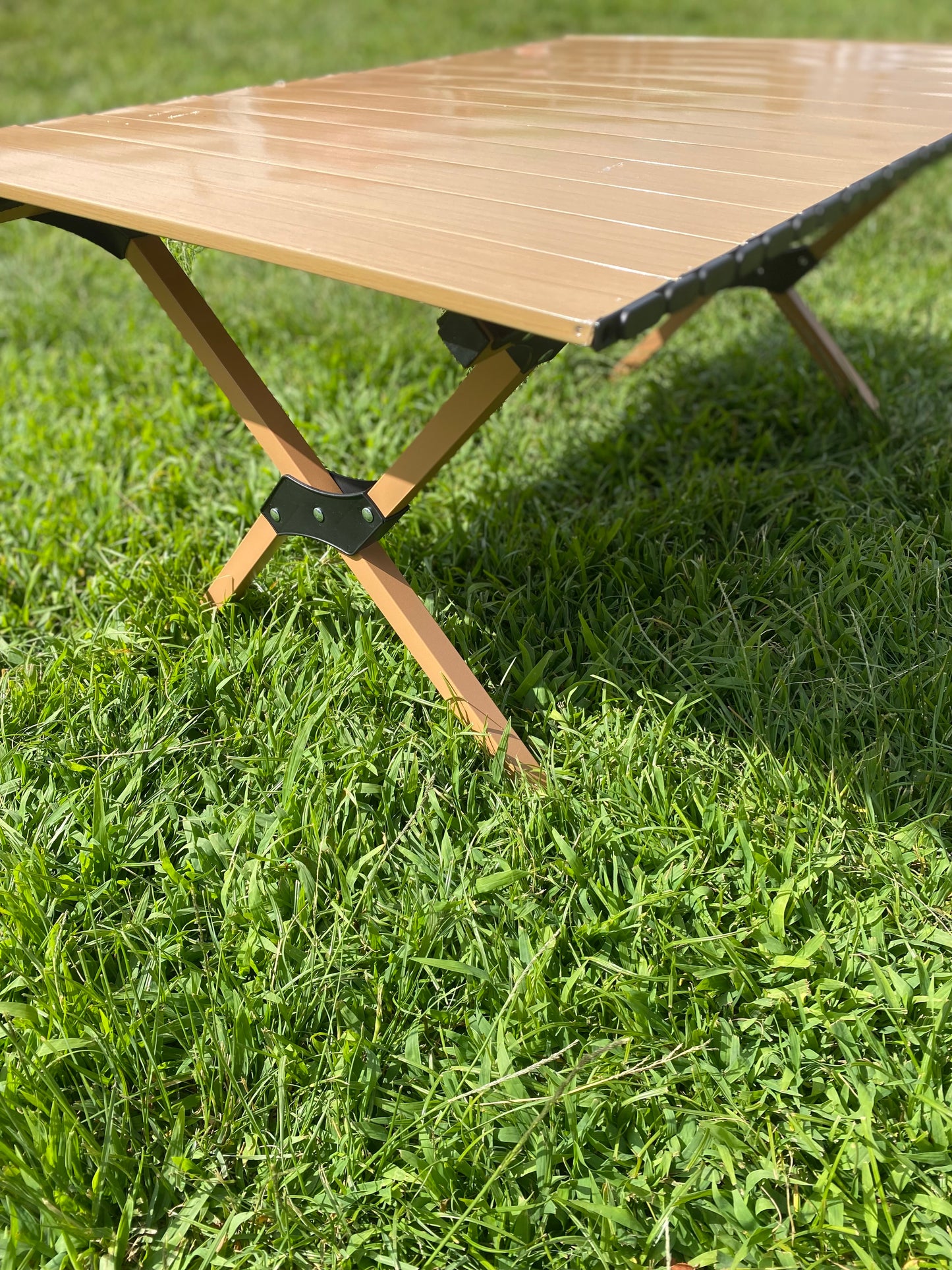 Folding Table, Mid-Size